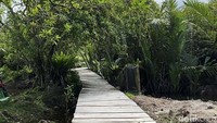 Daya tarik GTP adalah treking mangrove sepanjang 1,8 kilometer dan keanekaragaman hayati dan budaya masyarakatnya.