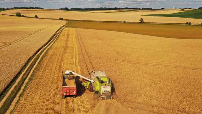 Melihat Panen Raya di Prancis Saat Harga Gandum Meroket Imbas Perang Ukraina A French farmer harvests his field of barley in Etricourt, northern France, July 4, 2022. REUTERS/Pascal Rossignol