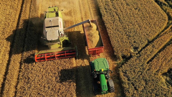 Melihat Panen Raya di Prancis Saat Harga Gandum Meroket Imbas Perang Ukraina A French farmer harvests his field of barley in Etricourt, northern France, July 4, 2022. REUTERS/Pascal Rossignol