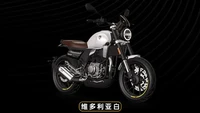 Motor ini dilengkapi mesin DOHC 249,2 cc, 1-silinder, 4-tak, berpendingin cairan yang bisa menghasilkan tenaga maksimum 20,5 dk pada 9.000 rpm dan torsi maksimum 22 Nm di 7.000 rpm. Foto: Dok. Zongshen