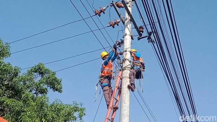 Pemeliharaan jaringan listrik di Klaten.