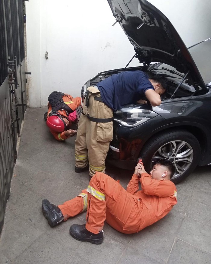 Petugas damkar DKI Jakarta mengevakuasi kucing yang terjebak di mesin mobil. Proses evakuasi dilakukan dengan bantuan anjing olaf milik pemilik mobil. (Instagram @humasjakfire) Petugas damkar DKI Jakarta mengevakuasi kucing yang terjebak di mesin mobil. Proses evakuasi dilakukan dengan bantuan anjing olaf milik pemilik mobil. (Instagram @humasjakfire)