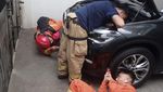 7 Foto Anjing Olaf Bantu Damkar Selamatkan Kucing dari Mobil