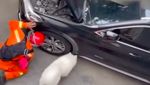 7 Foto Anjing Olaf Bantu Damkar Selamatkan Kucing dari Mobil