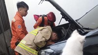 Keberadaan kucing kecil itu diketahui setelah anjing pemilik mobil yang terus menggonggong. Sang pemilik lalu mengecek kap mobilnya. (Instagram @humasjakfire)