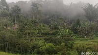 Ya untuk sampai ke Kampung Adat Miduana memang tidak bisa menggunakan mobil. Kita bisa menuju ke Kampung adat dengan berjalan kaki selama 1,5 jam atau mengendarai sepeda motor yang hanya menghabiskan waktu 30 menit.