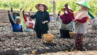 Di sela-sela kegiatan, Puan juga menyempatkan diri berfoto bersama para petani di lahan perkebunan.