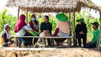 Para petani mengatakan rencana pencabutan subsidi pupuk ZA dan SP-36 oleh pemerintah akan memberatkan lantaran harga pupuk non-subsidi yang mahal. Puan pun meyakini pencabutan kedua jenis pupuk ini akan memberikan efek domino terhadap produksi dan harga bawang merah.