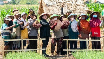 Momen Puan Tanam Bawang Bersama Petani Brebes