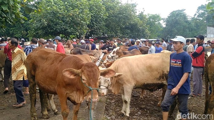 Suasana di Pasar Hewan Kajen, Kabupaten Pekalongan, Rabu (6/7/2022).