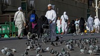Burung-burung memenuhi jalan di kota Mekah di tengah ramainya Umat Muslim jelang pelaksanaan puncak ibadah haji.