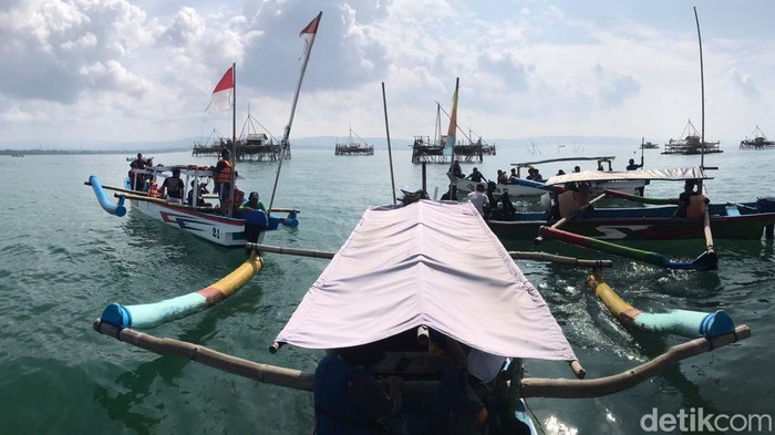 Transplantasi terumbu karang di Pangandaran