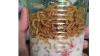 Penyajian mie instan ini antara kreatif dan menjijikan. Pasalnya mie instannya disajikan satu wadah dengan es campur. Foto: Instagram / Twitter