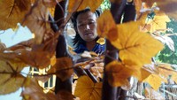 Karyanya sudah tersebar ke berbagai daerah dengan permintaan terbesar berasal dari Pulau Bali.