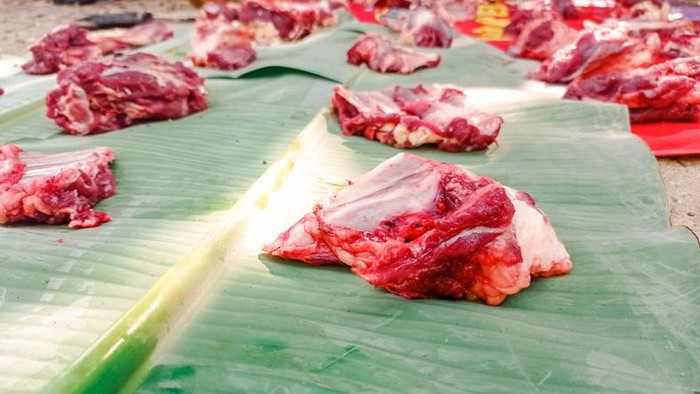 5 Cara Alami Mengempukkan Daging Kurban Agar Lembut Saat Dikunyah 5 Cara Alami Mengempukkan Daging Kurban Agar Lembut Saat Dikunyah