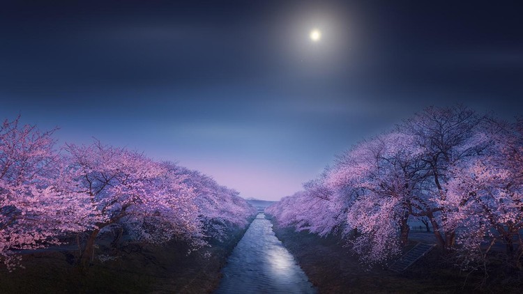 Astronomy Photographer of the Year 2022 Astronomy Photographer of the Year 2022