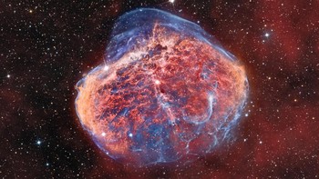 NGC 6888 Nebula Bulan Sabit oleh Bray Falls. Foto: Astronomy Photographer of the Year