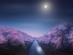 Karya Menakjubkan dan Spektakuler Finalis Kontes Foto Astronomi