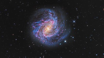 Galaksi Pinwheel Selatan diabadikan oleh Peter Ward Foto: Astronomy Photographer of the Year