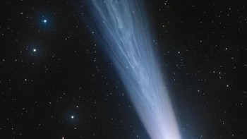 Komet C/2021 A1 (Leonard) oleh Lionel Majzik Foto: Astronomy Photographer of the Year