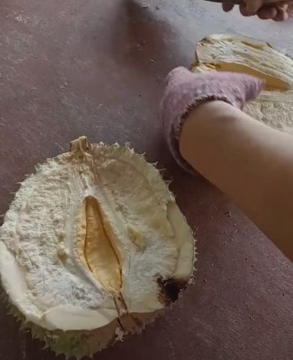 Durian zonk
