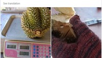 Zonk! Beli Durian Rp 396 Ribu, Netizen Ini Dapat Durian Kosong