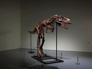 Koleksi Fosil Lengkap Gorgosaurus Bakal Dilelang