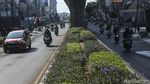 Gencar Dirazia, Kawasan Senopati Jakarta Pagi Ini Bebas Parkir Liar