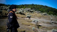 Mandalawangi pernah menjadi lokasi syuting film Gie yang dibintangi Nicholas Saputra. Nama Mandalawangi tertulis dalam puisi ciptaan Soe Hok Gie.