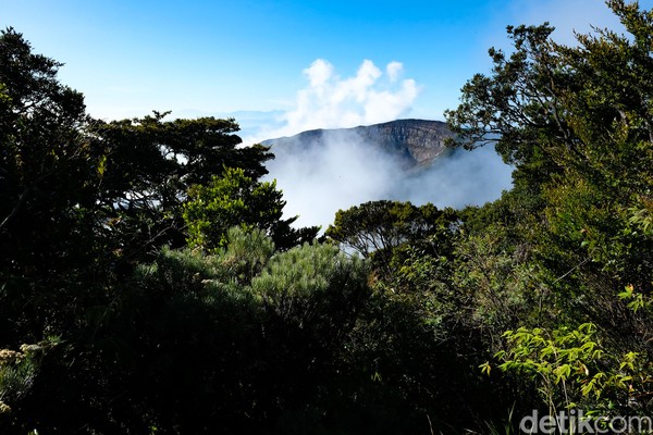 Usai 2,5 jam perjalanan dari Kandang Badak, pendaki sampai di puncak Gunung Pangrango. Jika cuaca cerah, kawah Gunung Gede terlihat dari puncak. Usai 2,5 jam perjalanan dari Kandang Badak, pendaki sampai di puncak Gunung Pangrango. Jika cuaca cerah, kawah Gunung Gede terlihat dari puncak.