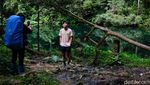 Indahnya Lembah Mandalawangi Bogor, Spot Favorit Soe Hok Gie