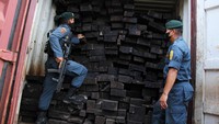 Petugas menunjukkan barang bukti kayu ilegal jenis Merbau asal Papua di Rumah Penyimpanan Benda Sitaan Negara (Rupbasan) Kelas I Makassar di Makassar, Sulawesi Selatan, Kamis (7/7/2022).