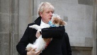 PM Boris Johnson menggendong anjingnya, Dilyn usai pemilihan di Westminster, London, Kamis, (12/12/2019). Menanggapi desakan itu, awalnya Boris Johnson menolak untuk mengundurkan diri. Desakan mundur semakin memuncak untuk Johnson yang pemerintahannya diselimuti banyak skandal beberapa waktu terakhir. (AP Photo/Frank Augstein)