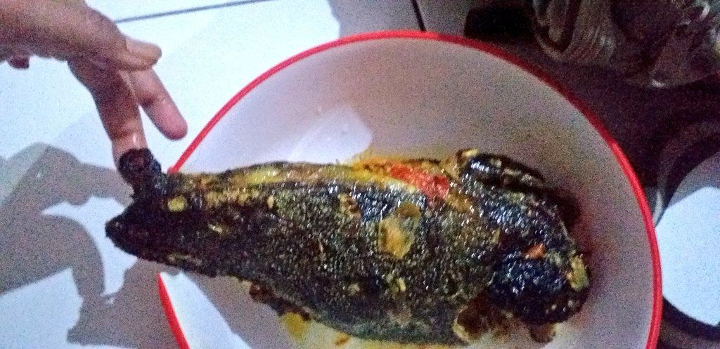 Momen sedih masak ikan peliharaan