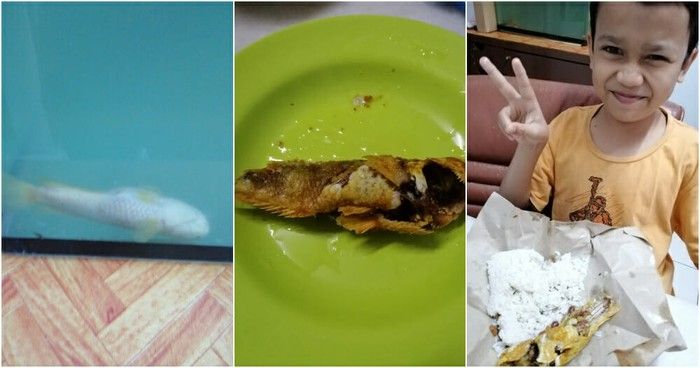 Momen sedih masak ikan peliharaan