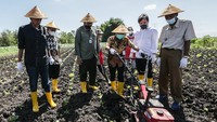 Program ini dijalankan melalui perusahaan pemasok tembakau guna meningkatkan kualitas tembakau dan kesejahteraan para petaninya.