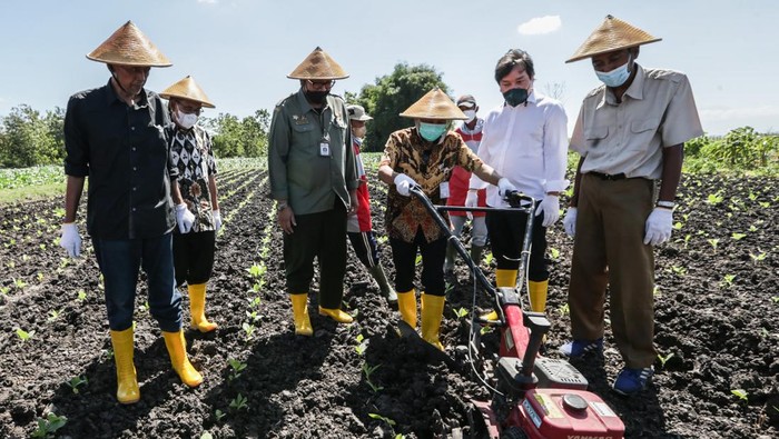 Momen Tanam Raya Tembakau di Wonogiri Asisten Deputi Pengembangan Agribisnis Perkebunan Kemenko Perekonomian, Moch. Edy Yusuf, mengoperasikan mesin kultivator pada acara Tanam Raya Tembakau di Wonogiri, Jawa Tengah, Kamis (7/7/2020). Pada kesempatan itu, Edy didampingi Direktur Tanaman Semusim dan Rempah Kementerian Pertanian Ardi Praptono (ketiga dari kiri), Kepala Dinas Pertanian dan Perkebunan Jawa Tengah Supriyanto (kedua dari kiri), Kepala Urusan Eksternal PT HM Sampoerna Tbk. (Sampoerna) Ervin Pakpahan (kedua dari kanan), Ketua DPD APTI Jawa tengah Hafidz BR (kiri), dan pimpinan area PT Sadhana Arifnusa, Soeharto.