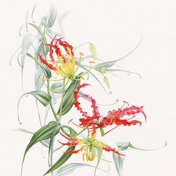 Pameran Seni Botani ke-3 Digelar di Galeri Nasional Indonesia