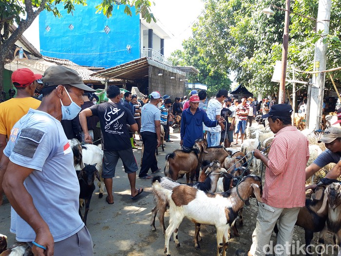 Para pedagang kambing di Pasar Pengging, Boyolali, jualan di jalan samping pasar, Kamis (7/7/2022).