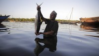 Seorang nelayan setelah perburuan lima hari di Teluk Gazi dan tepi laut Vanga akhirnya bisa menangkap seekor tuna sirip kunung dengan berat enam setengah kilogram.  