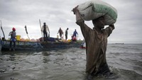 Selain itu stok ikan juga menurun karena kurangnya penangkapan ikan yang berkelanjutan oleh kapal yang lebih besar.  