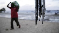 Menanggapi hal tersebut, Dennis Oigara, Dinas Perikanan Kenya, mengatakan Pemerintah Kenya akan menerapkan strategi ekonomi untuk mengatasi dampak perubahan iklim pada mata pencaharian orang-orang di pantai, serta meningkatkan keterampilan di kalangan nelayan tradisional dan mempromosikan praktik penangkapan ikan yang lebih berkelanjutan.  