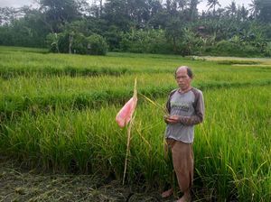 Waspadai Dampak Perubahan Iklim, Ini Pesan Kepala BMKG ke Petani