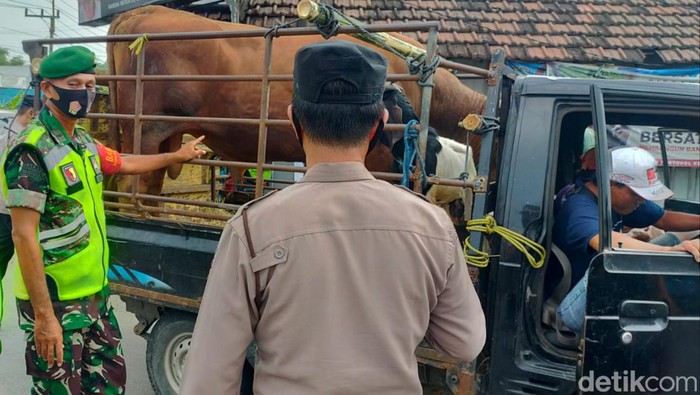 Petugas Gabungan menghentikan kendaraan pengangkut hewan ternak yang tak membawa SKKH.