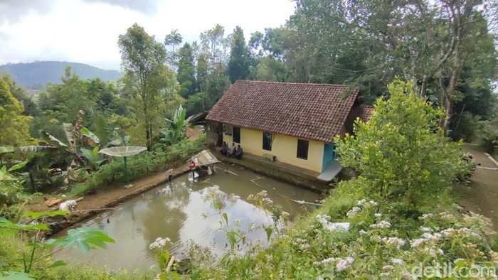 Teror macan tutul di Desa Cikupa, Kabupaten Ciamis.