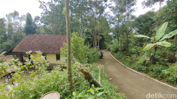 Teror macan tutul di Desa Cikupa, Kabupaten Ciamis.