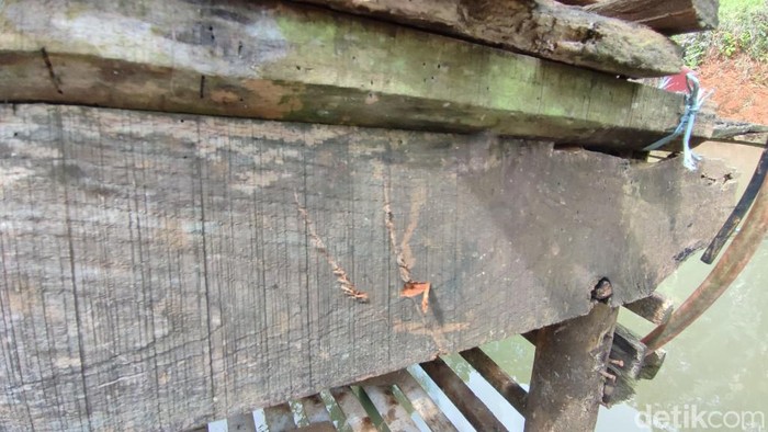 Teror macan tutul di Desa Cikupa, Kabupaten Ciamis.