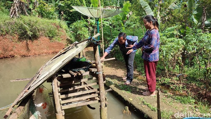 Teror macan tutul di Desa Cikupa, Kabupaten Ciamis.
