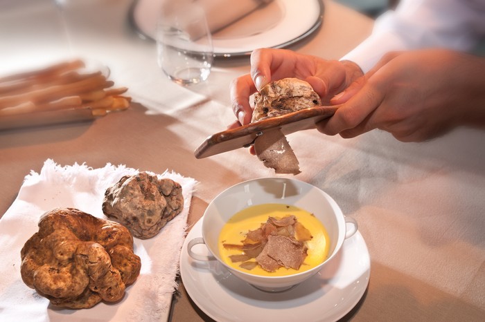 White Alba truffle