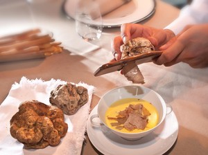 Mengapa Jamur Truffle Bisa Lebih Mahal dari Emas? Ini Penjelasan Ilmiahnya